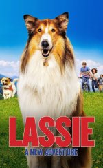 Lassie Yepyeni Bir Macera