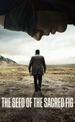 Kutsal İncirin Tohumu