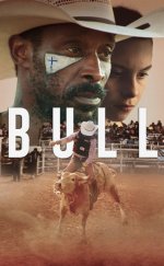 Bull