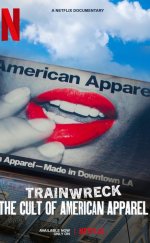 Felaketler Dizisi Bir Markanın Çöküşü