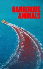 Tehlikeli Hayvanlar