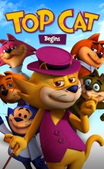 Sevimli Kedi İş Başında 2