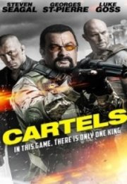 Cartels Killing Salazar