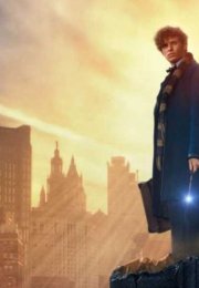 Fantastic Beasts and Where to Find Them