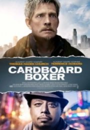 Karton Boksör Cardboard Boxer