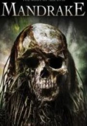 Mandrake