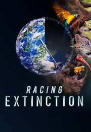 Racing Extinction