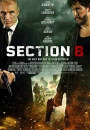 Section 8