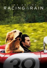 The Art of Racing in the Rain