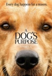 A Dog’s Purpose