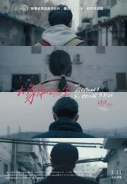 An Elephant Sitting Still