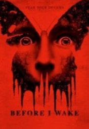 Before I Wake