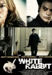 Beyaz Tavşan White Rabbit