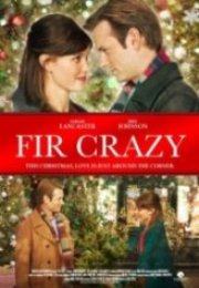 Çılgın Çamlar Fir Crazy
