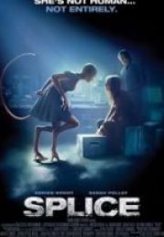 Deney Splice i Kaliteli