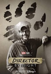 Director byght