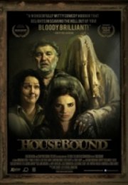 Ev Hapsi Housebound