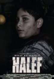 Halef