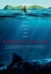 Karanlık Sular The Shallows