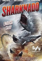 Köpekbalığı İstilası