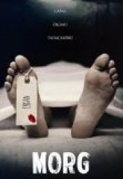Morg