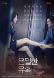 Muhteşem Teklif Perfect Proposal