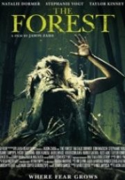 Orman The Forest