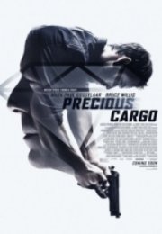 Özel Kargo Precious Cargo