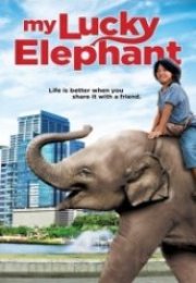 Şanslı Fil My Lucky Elephant