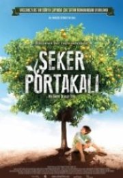 Şeker Portakalı Meu Pe de Laranja Lima