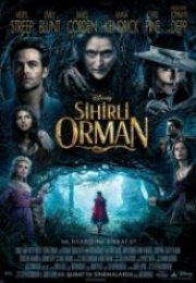 Sihirli Orman Into the Woods