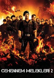 The Expendables 2