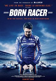 Yarışçı Doğanlar