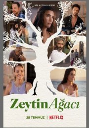 Zeytin Agaci