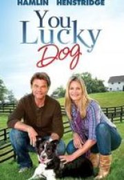 Aile Toplantisi You Lucky Dog