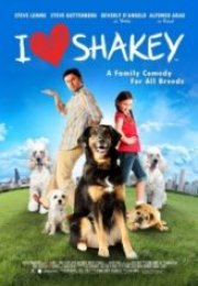 Akıllı Köpek I Heart Shakey