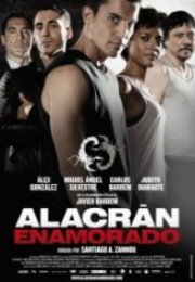 Akrebin Aşkı Alacran enamorado