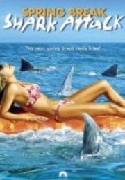 Bahar Tatilinde Dehşet Spring Break Shark Attack