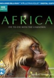 BBC Africa Afrika Belgeseli 6. Bölüm
