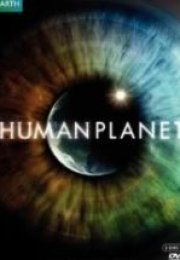 BBC Earth İnsan Gezegeni Bölüm 6 Çayırlar Otlar