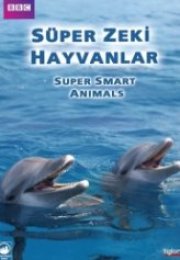 BBC Süper Zeki Hayvanlar Super Smart Animals