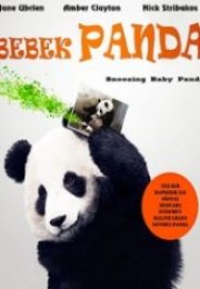 Bebek Panda Sneezing Baby Panda