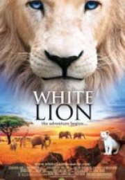 Beyaz Aslan White Lion