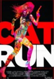 Cat Run Türkce
