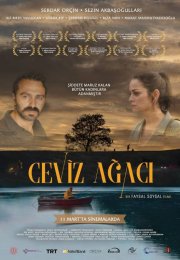Ceviz Ağacı