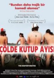 Çölde Kutup Ayısı i