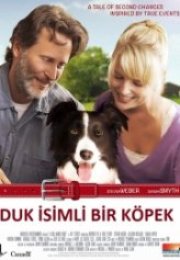 Duk İsimli Bir Köpek Duke