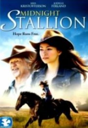 Geceyarısı Aygırı Midnight Stallion