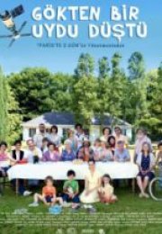 Gökten Bir Uydu Düştü Le Skylab