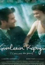 Günlerin Köpüğü L’écume des jours